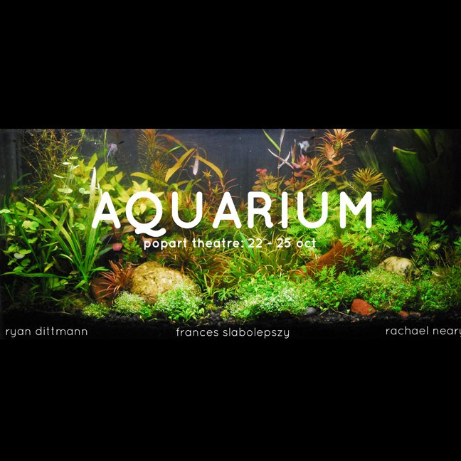 aquarium.jpg